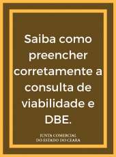 Saiba como preencher corretamente a consulta de viabilidade e DBE.